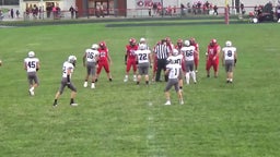 Cardinal football highlights Wayne High School
