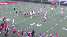 Loudonville football highlights Orrville High School