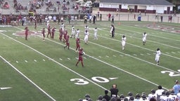 Brian Alston's highlights Spring Game