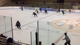 Burnsville girls ice hockey highlights Park High School