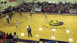 Foley girls basketball highlights Daphne High School