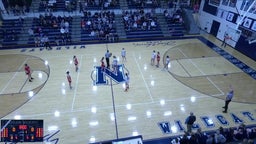 Napoleon girls basketball highlights Bowling Green High School