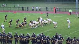 Averill Park football highlights vs. Amsterdam