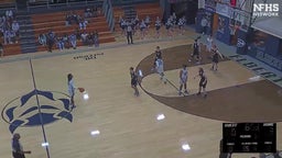 Elbert County basketball highlights Fannin County High School