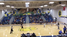 Houston County basketball highlights Crisp County