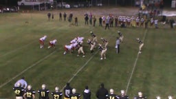 Ansley/Litchfield football highlights vs. Alma High School