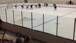 Burnsville (MN) Girls Ice Hockey highlights vs. Eastview High School