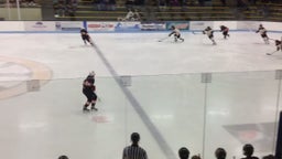 Burnsville (MN) Girls Ice Hockey highlights vs. Lakeville North High