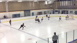 Burnsville (MN) Girls Ice Hockey highlights vs. Rosemount High