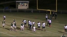 Highlight of vs. Pine Forest