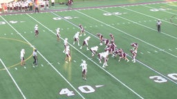 University of Detroit Jesuit football highlights Seaholm High School