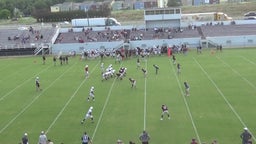 Sherman football highlights Princeton High School
