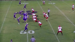 Berryville football highlights vs. Green Forest High