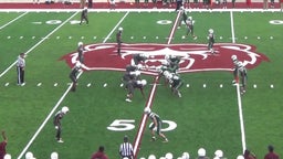 Dalys Jett's highlights Lawrence Central High School