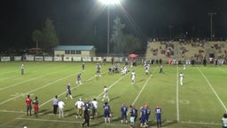 Marquay Watkins's highlights Taylor County