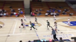 Madison Memorial girls basketball highlights Craig High School