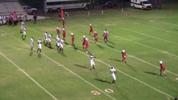 Memphis football highlights Wellington High School