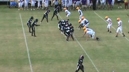 Brian Harris jr's highlights Crawford County High School