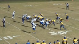 De'marcus Mims's highlights region play in