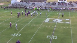 Jaylin Rainey's highlights DeSoto Central