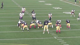 Arlington football highlights vs. Everett High School