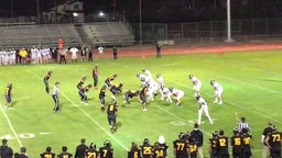 Homestead football highlights Wilcox High School