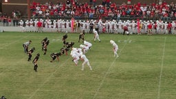 Princeton football highlights vs. Washington