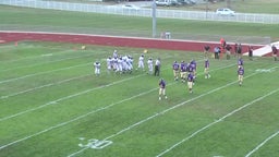 Danville football highlights vs. Bloomington