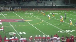Hoover football highlights vs. Henry High School