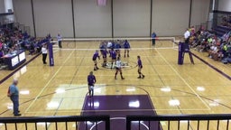 Albany volleyball highlights Foley