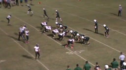 Lakewood Ranch football highlights vs. Palmetto High School