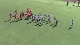 DeWitt Clinton football highlights vs. Sheepshead Bay