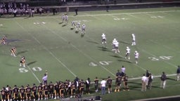 Mike Mitchell's highlights vs. Liberty, Argyle