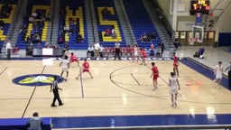 Robinson basketball highlights Annandale High School