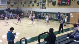 Robinson basketball highlights Langley