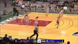 Aquinas girls basketball highlights Westfield Area High School