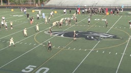 Nathan Powell's highlights 2019 Spring Black & Gold Game