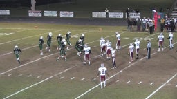 Allen Park football highlights vs. Anderson