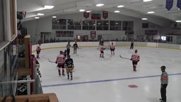 Amery ice hockey highlights St Paul Johnson High School