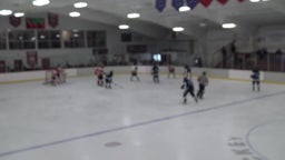 Amery ice hockey highlights Reedsburg