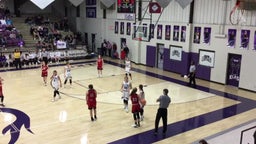 Mansfield girls basketball highlights Elkins