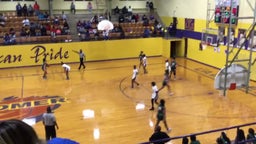 Lakeview girls basketball highlights Homer High School