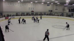Sartell-St. Stephen girls ice hockey highlights vs. Brainerd High School