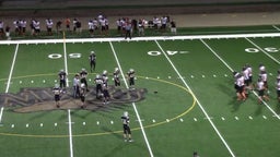 Lincoln Lutheran football highlights vs. Falls City High
