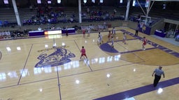 Pleasant Plains basketball highlights Litchfield High School