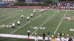 Vanden football highlights vs. Dixon High School