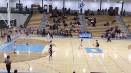 White County girls basketball highlights Denmark High School