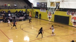 Houston girls basketball highlights Southwind High School