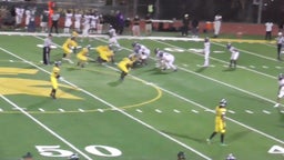 Arron Chaney II's highlights Damien High School