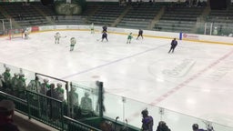 Buffalo girls ice hockey highlights Edina High School